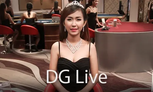 24/7 Live Customer Service